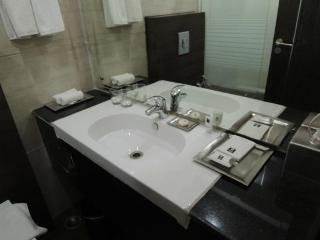 Comfort Inn Anneha New Delhi Exterior photo